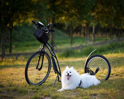 A man taking a small walk during work break in the park for active lifestyle.